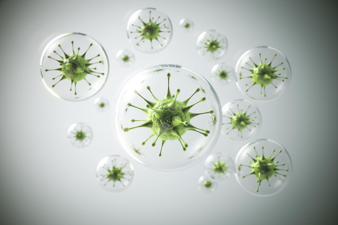 Gut Health is the New Fitness: How Your Microbiome Shapes Everything